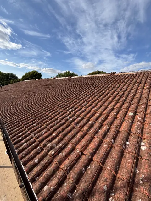 Relaid pantile roof, sharp, blue sky: tile roof by LR Roofing near Weymouth, Dorset